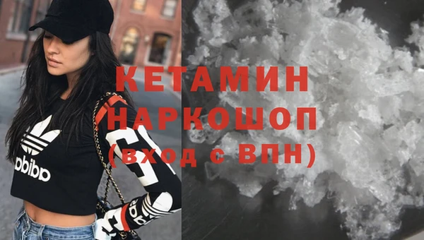 крисы Алзамай