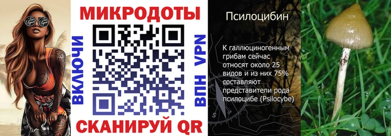 Галлюциногенные грибы Cubensis  Сергач 